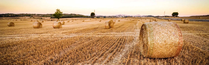 Hodler Successfully Exits Gyulai Agrár